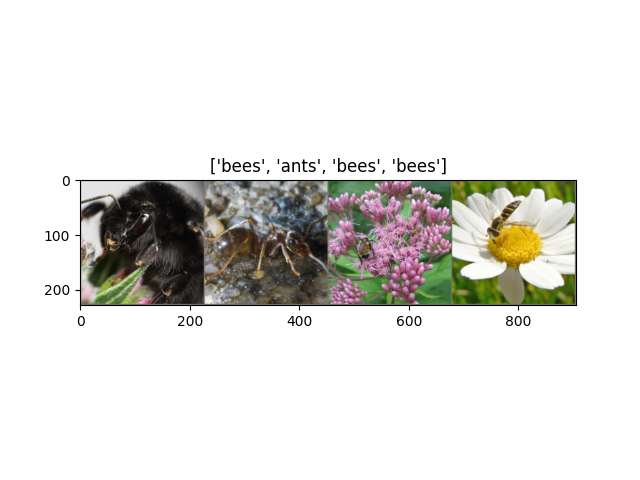 ['bees', 'ants', 'bees', 'bees']